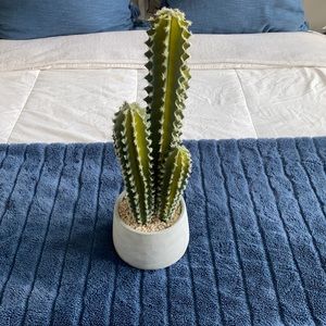 This super cute fake cactus plant decoration!!